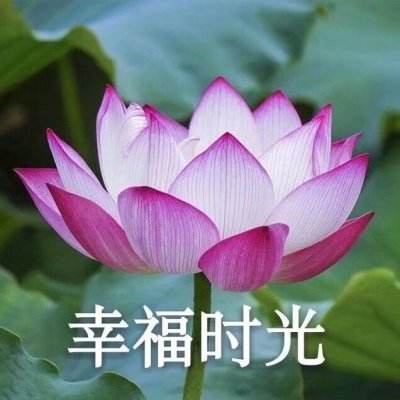 我在台湾生活了15天，发现这就像个巨大的县城！